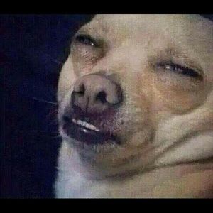 Meet your Posher, Alexis